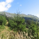 img_1479