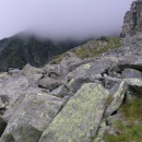 2004pt