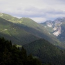 img_1215