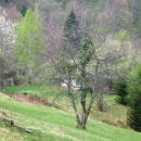 img_2209_1