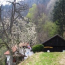 img_2216_1