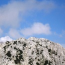 img_2521_1