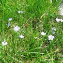 img_2532_1