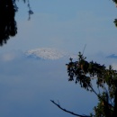 img_1077