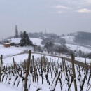 img_2940