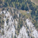 IMG_3242