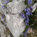 Fotografija-0025