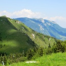 IMG_2010