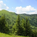 IMG_2011