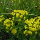 DSCN2770_1