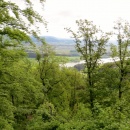 IMG_3976 (800 x 600)