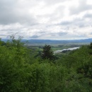 IMG_3979 (800 x 600)