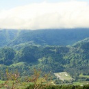 IMG_3986 (800 x 587)
