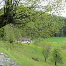 IMG_3990 (800 x 600)