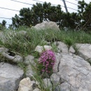 IMG_0876 (800 x 600)