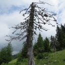 IMG_0897 (800 x 600)