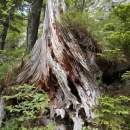 2015_06_07-pohod-Klemencja_jama-009 (600 x 800)
