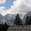 IMG_3491 (800 x 600)