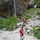 IMG_4460 (600 x 800)
