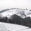 IMG_3545