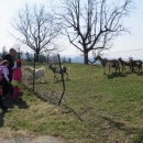IMG_3729 (800 x 600)