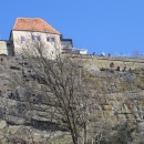 IMG_3735 (800 x 600)