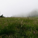 IMG_4474 (800 x 600)