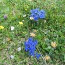 IMG_4485 (800 x 600)