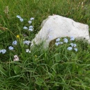 IMG_4494 (800 x 600)