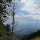 IMG_5154 (600 x 800)