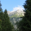 IMG_5155 (600 x 800)