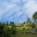 IMG_5177 (800 x 600)