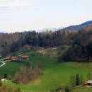 IMG_3780 (800 x 598)