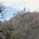 IMG_3786 (600 x 800)