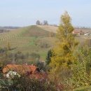 IMG_7217