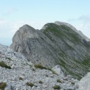 P1020585