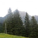 IMG_0008