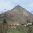 IMG_7439