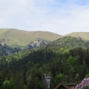 IMG_0039
