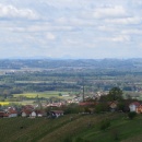 IMG_7532