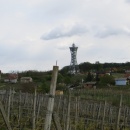 IMG_7542