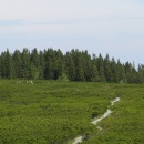IMG_0022