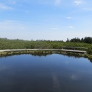 IMG_0048