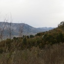 IMG_0005