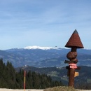 IMG_0005_1