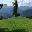 IMG_0728