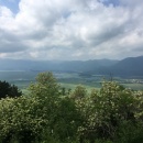 IMG_0113