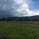 IMG_0157