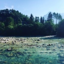 IMG0002