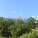 IMG0040
